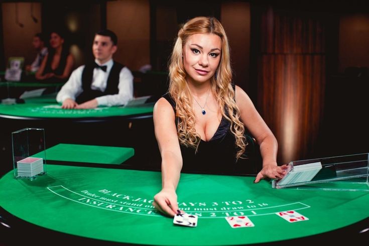 Betseeker Live Casino